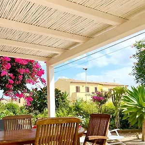 Bouganville Valledoria (Sardinia)